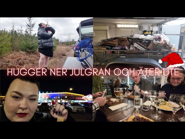 HUGGER NER JULGRAN OCH TRÄFFAR HELA MIN FAMILJ - vloggvecka #3 🤶