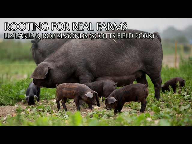 Rooting for Real Farms: Liz Earle & Rob Simonds (Scotts Field Pork)