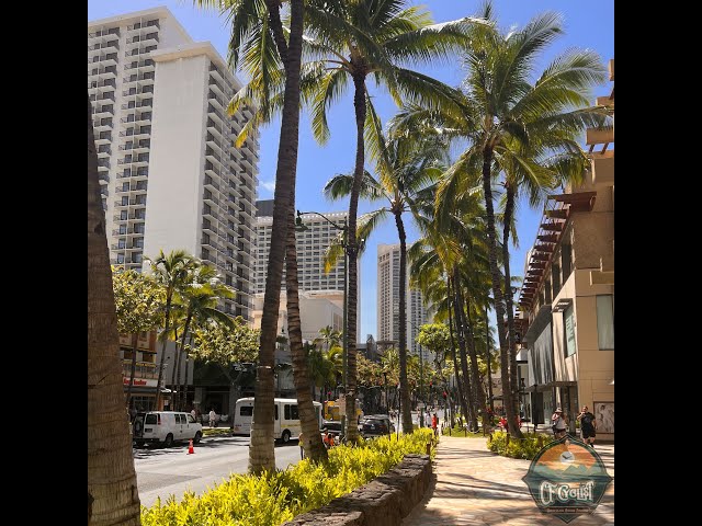 Hawaii - International Market Place to Waikiki Beach Walk