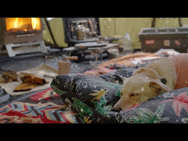 Winter Camping in a Snowstorm with My Dog – Warmth Inside the Tent