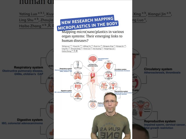 The Impact of Microplastics and PFAS on Brain Health and Implications With Alzheimer's