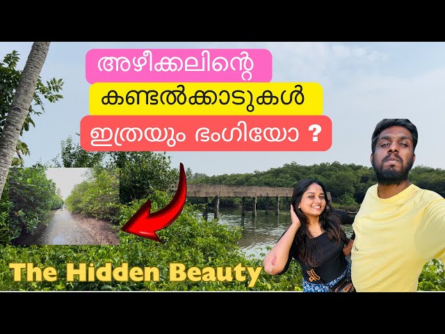 Mangrove Forest And Othalanga Thuruthu Location | Oru adipoli Day at Othalanga Thuruthu