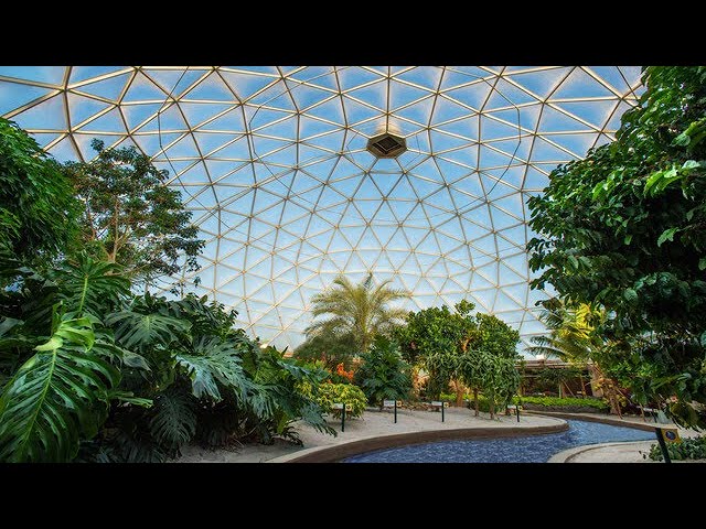 Living with the Land at Epcot (360°)