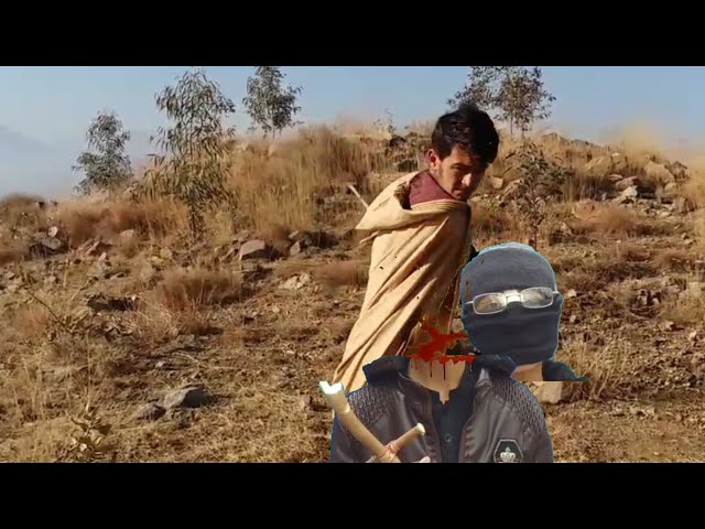 Bajaur vines funny video artaghal buner vines pk vines sada gull vines