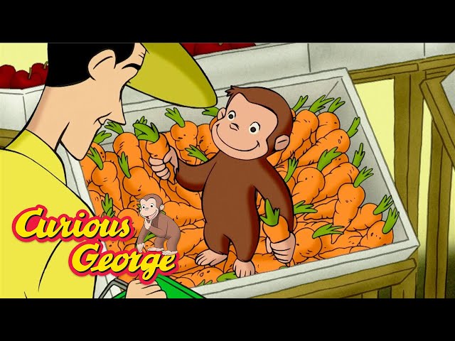 George The Gardener! 🐵 Curious George 🐵 Kids Cartoon 🐵 Kids Movies