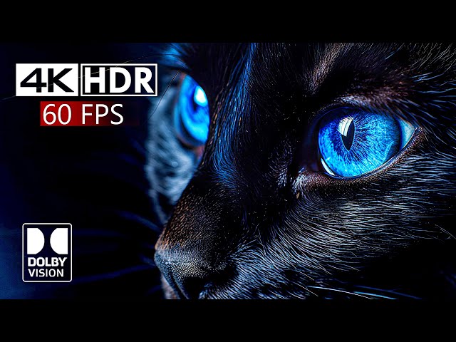 Dolby Vision Demo 4K Video ULTRA HD HDR 60FPS