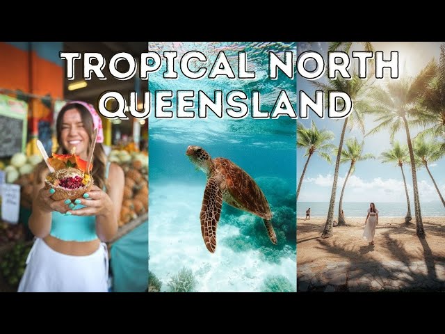 Is this the Best Road Trip in Queensland? | Cairns to Daintree Rainforest Travel Vlog