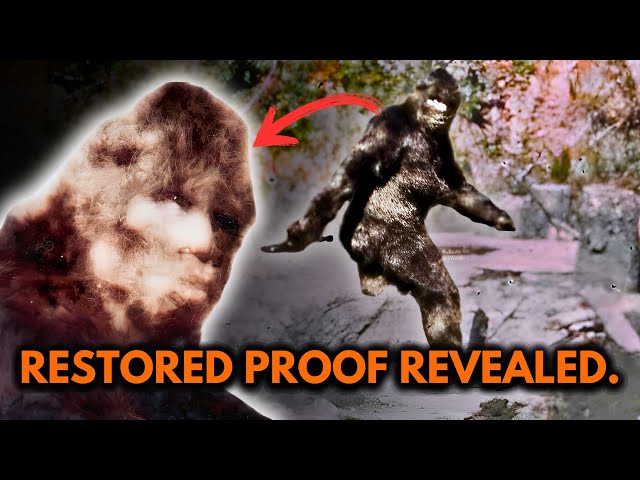 Bigfoot Proof…3 Images That Prove the Patterson-Gimlin Film is Real