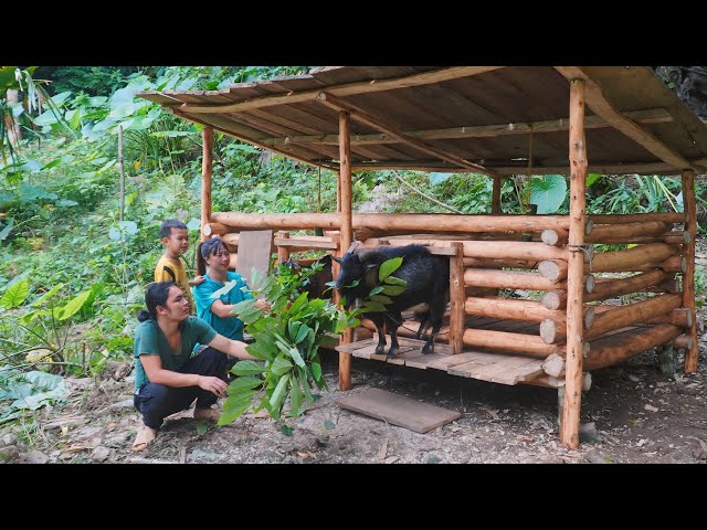 how to make a wooden goat pen, farm life, ALONE SURVIVAL