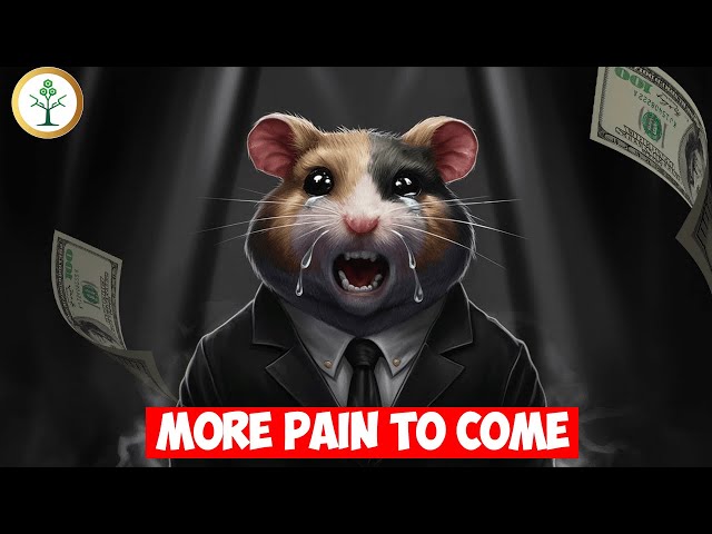 Did You Miss Out? Hamster Kombat Airdrop Allocation Aftermath!