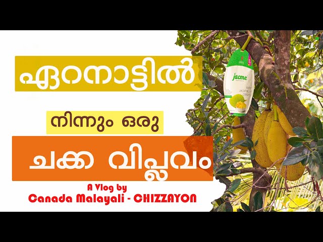 ഏറനാട്ടിൽ നിന്നും ഒരു ചക്ക വിപ്ലവം  - Jack Fruit Revolution