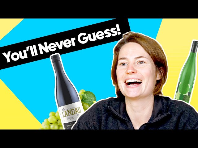 This WINE Region Is Impossible To Pick! | Blind Wine Tasting