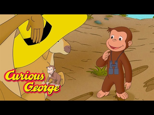 George Meets a Kangaroo!  🐵 Curious George 🐵 Kids Cartoon 🐵 Kids Movies