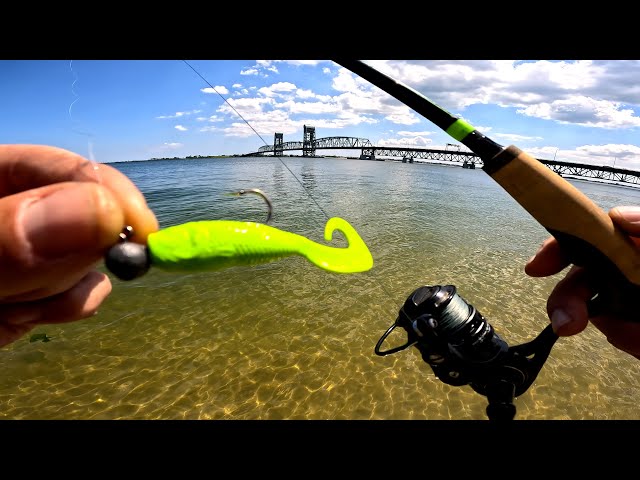 Fluke Fishing From Shore (Summer Flounder)