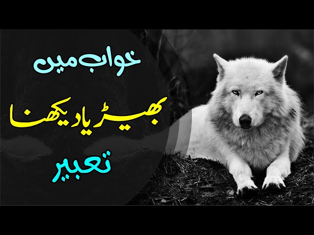 🐺Khawab mein Bheria dekhna | Wolf in Dream | Khwabon Ki Tabeer Episode 122 | Mohsin Raza Aatir