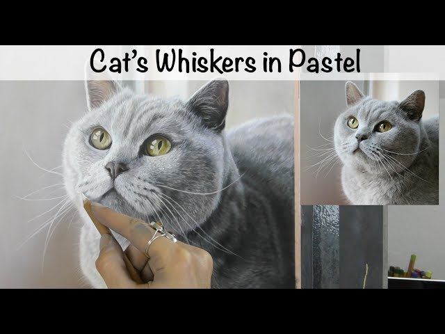 Cat's Whiskers in Pastel - Full Tutorial