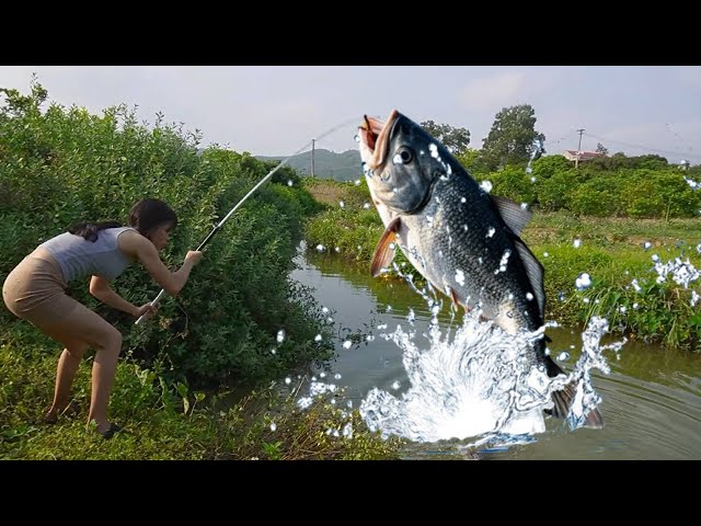 The black-hearted boss starts fishing at 1000 yuan a day directly  but what if the bait is eaten up