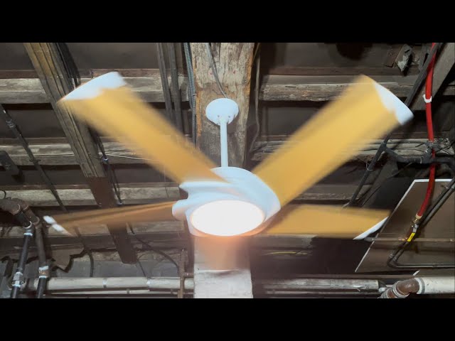 Casablanca Stealth Ceiling Fan 54” (Architectural White/Maple)(AT)(No Commentary)