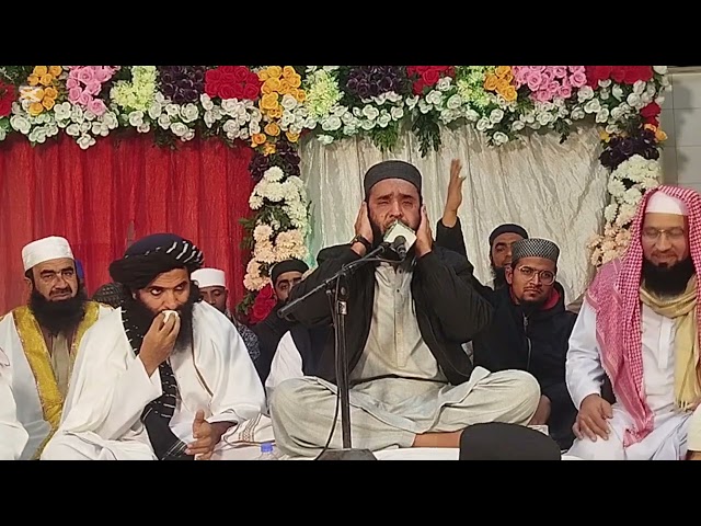 Qari Hammad Anwar Nafisi Sahab#beautiful#tilawat #clip@Junaid1636