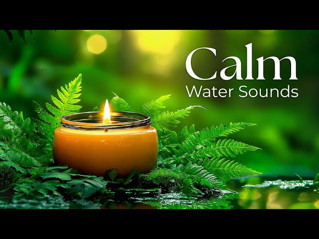 Beautiful Relaxing Music - Stop Overthinking, Release Stress, Anxiety #125 - Calming Harmony 🎶