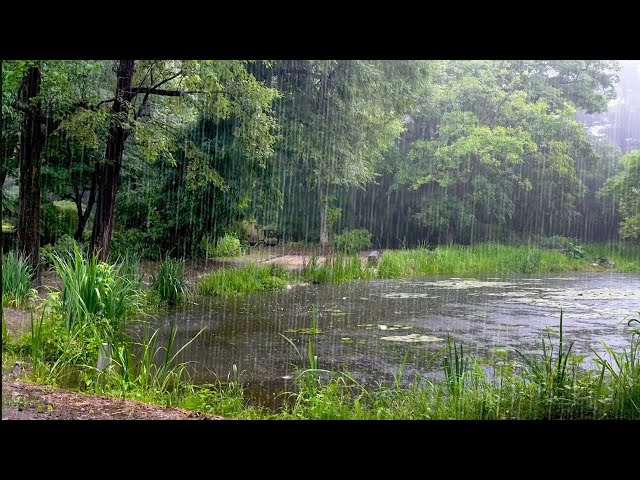 Lakeside Rain Sound that Helps You Overcome Insomnia - Relax, Fast Sleep, Meditation