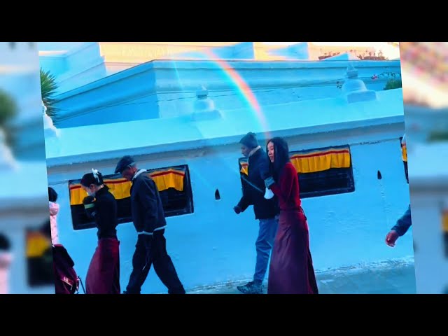 Devotion Towards Buddha Dharma || Prostration || Boudhanath Temple|| Boudanath Stupa || Buddhism