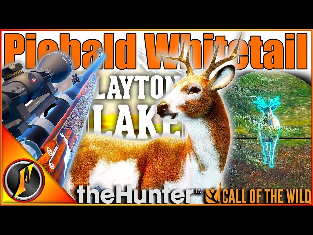 Layton's Welcome Back Gift! 🎁 | Piebald Buck! | theHunter Call of the Wild