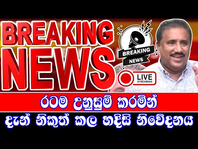 breaking news|election prediction srilanka news|hiru news|political news|hiru tv live|news 1st