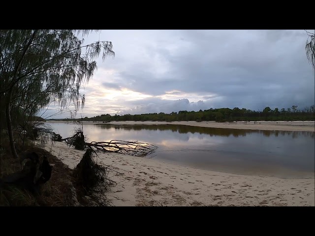 Coongull Creek Sunrise - Fraser Island - Relaxing Early Morning Nature Sounds