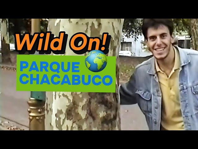 Wild On Chacabuco 2003