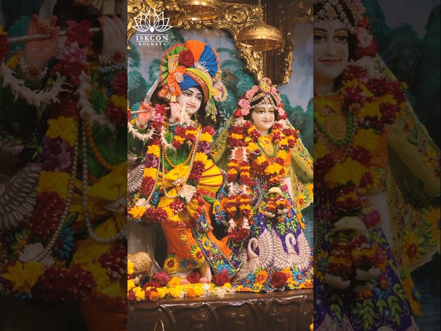 Today Darshan of Sri Radha Govind ji🙏🙏💐23rd Dec 2024✅Hare Krishna🙏..#iskcon #iskconkolkata #darshan