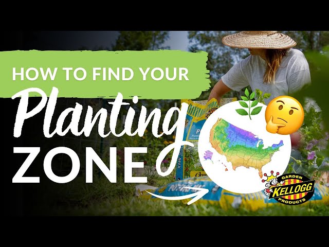 Beginner's Guide to Planting Zones and Seasons for Vegetable Gardening