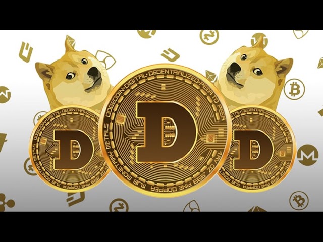 Doge Guru Live Stream