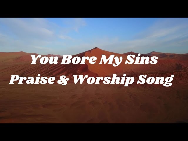 You Bore My Sins/Praise & Worship Songs/Gospel Songs #praise&worshipsongs #christianmusic #music