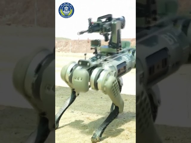 China’s military unveils robot dogs armed with rifles