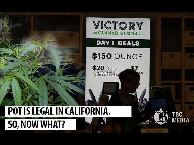 Marijuana is legal in California  So, Now what?