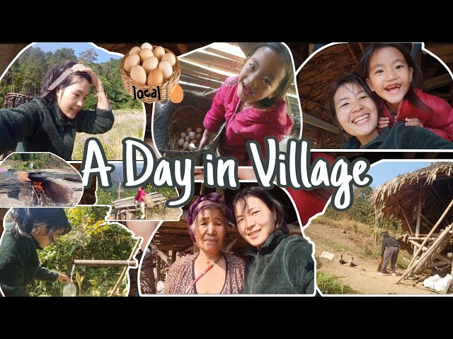 A Day in Village || Village vlog 99