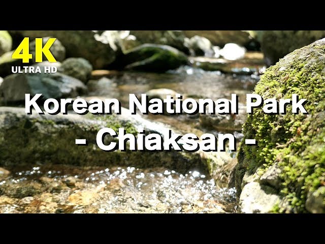 4K Nature Relax Video / Chiaksan National Park South Korea / Mountain, Forest, Valley