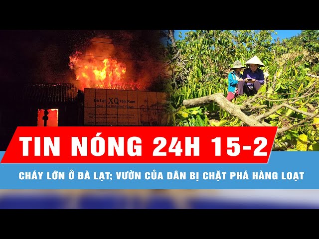 Tin nóng 24H 15-2: Cháy lớn ở Đà Lạt; Điều tra vụ vườn cây của người dân bị chặt phá hàng loạt