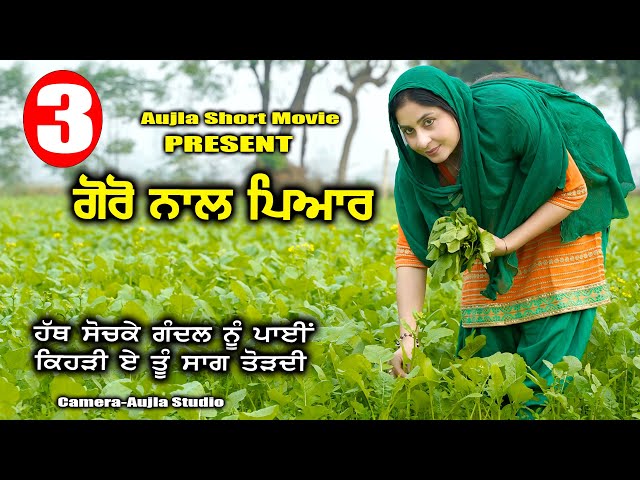 ਗੋਰੋ ਨਾਲ ਪਿਆਰ ਭਾਗ-3 ( Goro Nal Pyar) Short Film 2024 #aujlashortmovie #aujlafilm