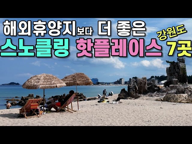 스노클링 핫플레이스 7곳/동해 해수욕장 추천/송지호해수욕장,죽도,아야진해수욕장/백섬해상전망대