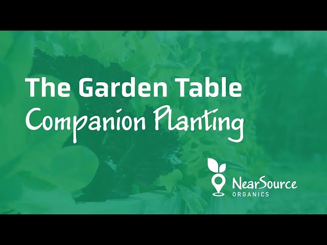 The Power of Companion Planting