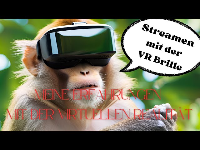 XR - Meine Erfahrungen: Streamen auf der VR Brille