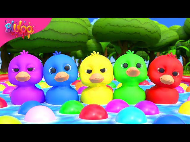 Five Little Ducks | Kids Songs | BluLoo Nursery Rhymes & Kids Songs