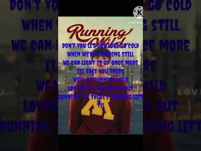 Running wild lyrics/ jin / bts