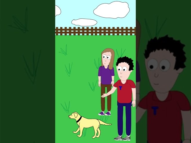 I thought the dog liked balls! 🙄 (Animation Meme) #shorts