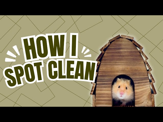 Hamster Cage Cleaning Routine