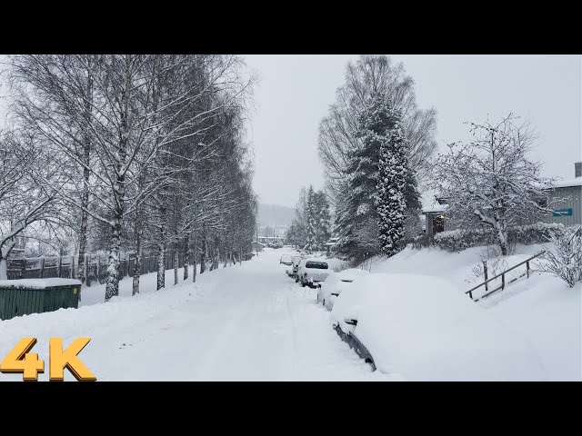 Heavy Snowfall at Morning Walk | 4K HDR Norway