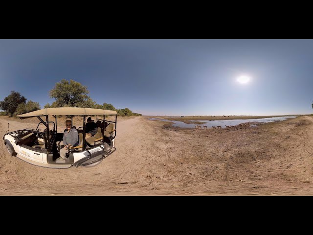 360 Live Cam - Wildlife Photo Safaris  #VR  #Wildlife  #Live