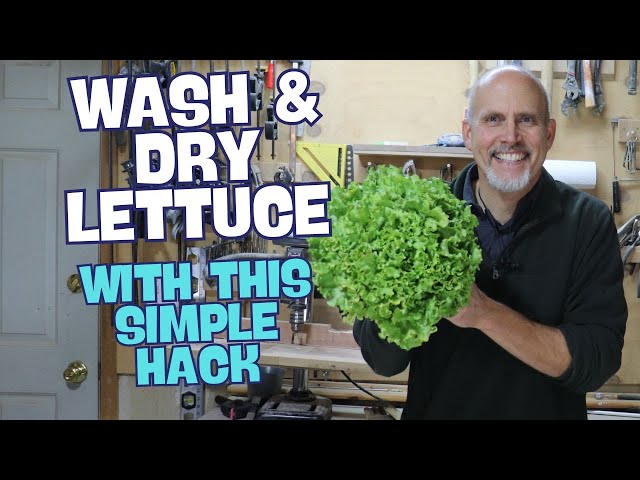 How to Wash and Dry Large Amounts of Garden Lettuce